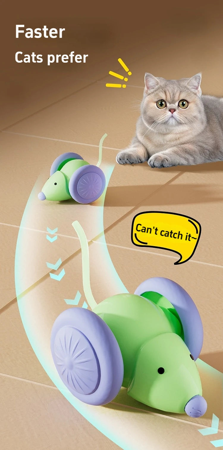 Pet Toys Interactive Cat Toy Electric Mouse Car