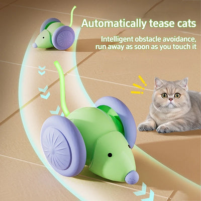 Pet Toys Interactive Cat Toy Electric Mouse Car