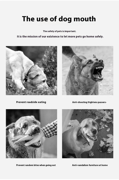 Adjustable Reflective Dog Muzzle – Anti-Chew & Escape-Proof Training Mask | Breathable & Safe for All Sizes