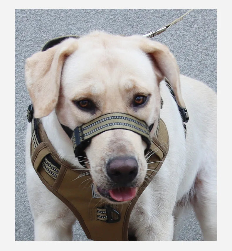 Adjustable Reflective Dog Muzzle – Anti-Chew & Escape-Proof Training Mask | Breathable & Safe for All Sizes