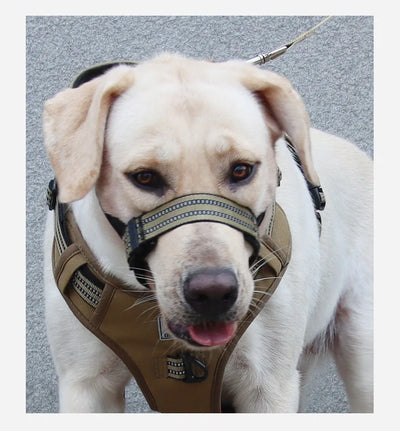 Adjustable Reflective Dog Muzzle – Anti-Chew & Escape-Proof Training Mask | Breathable & Safe for All Sizes