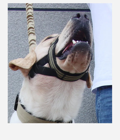 Adjustable Reflective Dog Muzzle – Anti-Chew & Escape-Proof Training Mask | Breathable & Safe for All Sizes