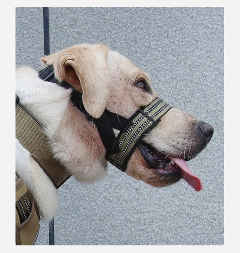 Adjustable Reflective Dog Muzzle – Anti-Chew & Escape-Proof Training Mask | Breathable & Safe for All Sizes