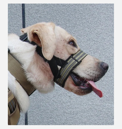Adjustable Reflective Dog Muzzle – Anti-Chew & Escape-Proof Training Mask | Breathable & Safe for All Sizes