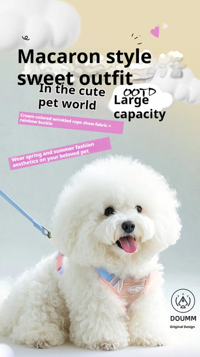 Cute Korean-Style Dog Harness & Leash – No-Pull Adjustable Vest for Small Pets, Ideal for Walks