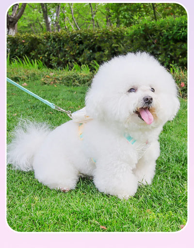 Cute Korean-Style Dog Harness & Leash – No-Pull Adjustable Vest for Small Pets, Ideal for Walks