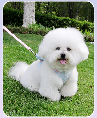 Cute Korean-Style Dog Harness & Leash – No-Pull Adjustable Vest for Small Pets, Ideal for Walks