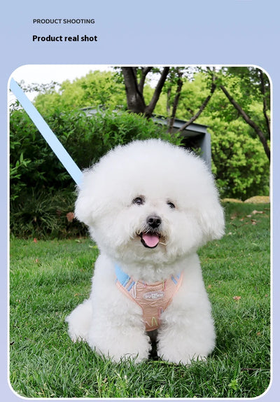 Cute Korean-Style Dog Harness & Leash – No-Pull Adjustable Vest for Small Pets, Ideal for Walks